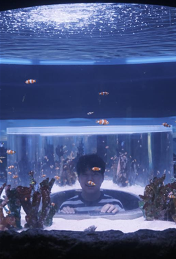 0b6e8c6c579239c7fbc058e1a860bde5_1762304603_8498.png 0b6e8c6c579239c7fbc058e1a860bde5_1762304603_8498.png